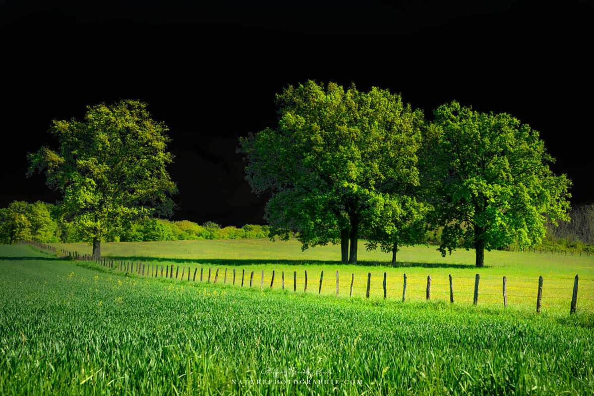 Campagne et ciel noir