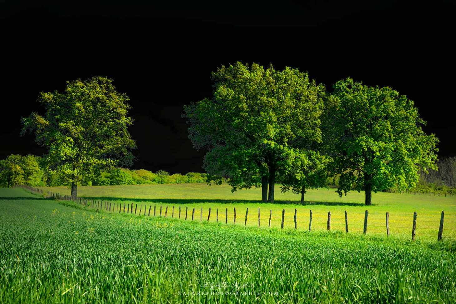 Campagne et ciel noir