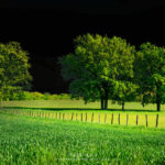 Campagne et ciel noir