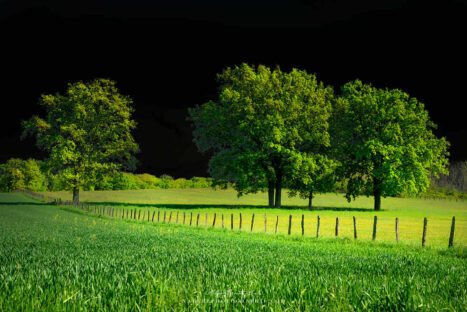 Campagne et ciel noir