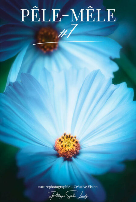 Menu icon