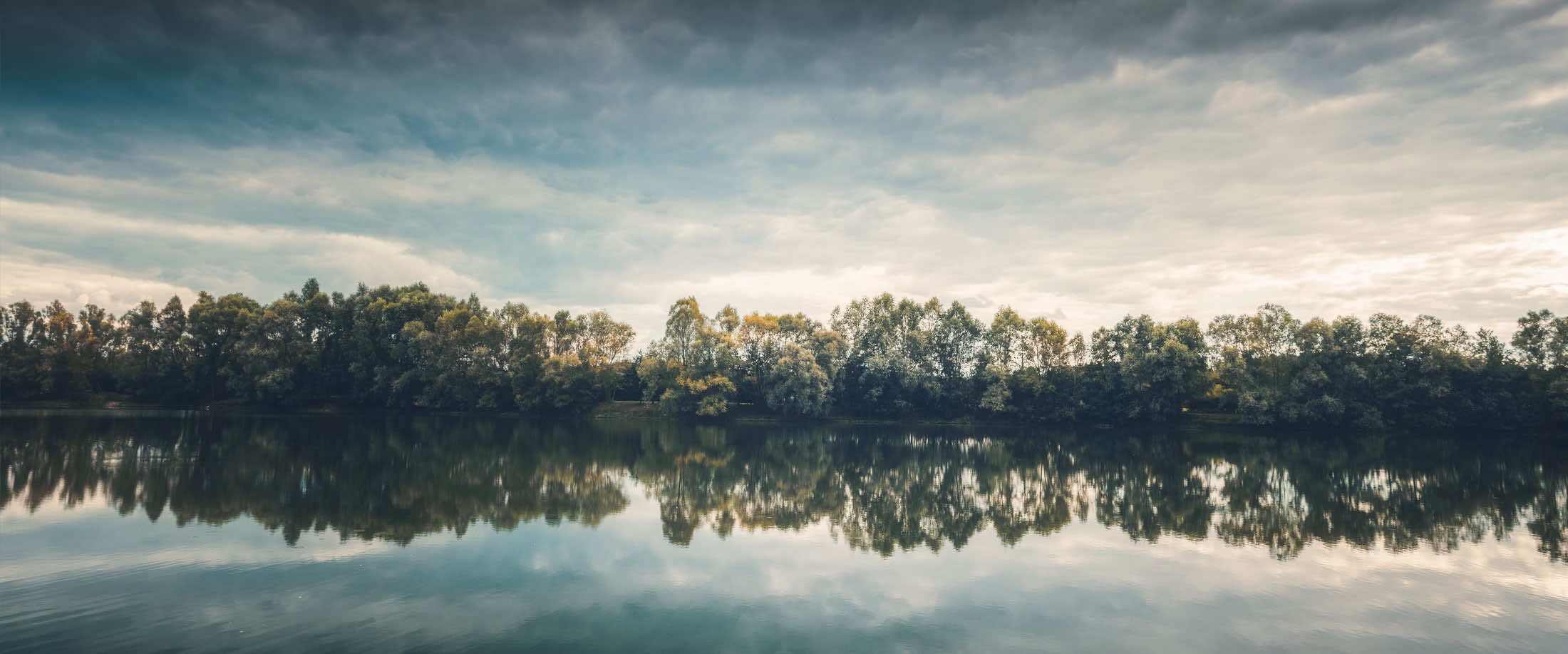 Reflet d'une forêt dans un lac