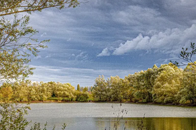 La beauté silencieuse du monde
